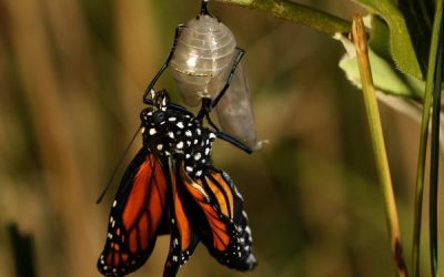 Morning Prayer Week of May 10