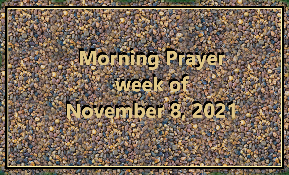 Morning Prayer       Week of November 8